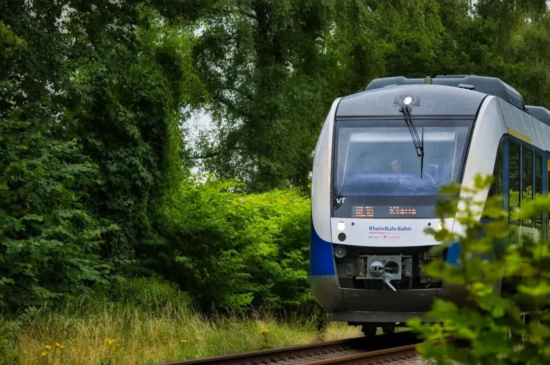 SprachBrücke DaF 1